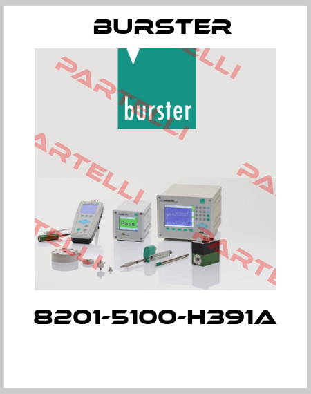 8201-5100-H391A  Burster