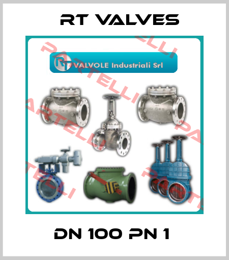 DN 100 PN 1  RT Valves