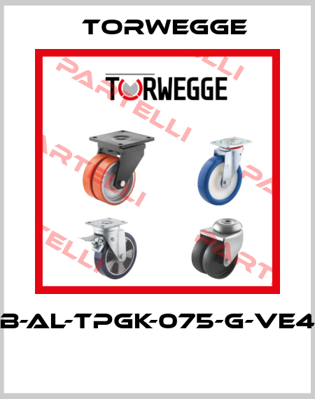 B-AL-TPGK-075-G-VE4  Torwegge