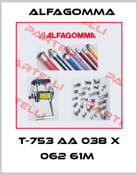  T-753 AA 038 X 062 61M  Alfagomma