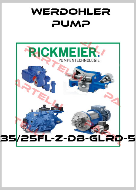 R35/25FL-Z-DB-GLRD-5O  Werdohler Pump