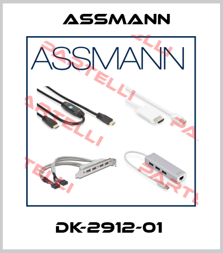 DK-2912-01  Assmann