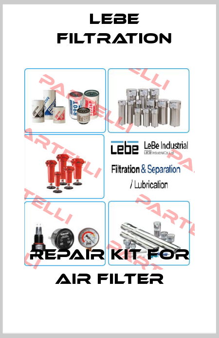 Repair kit for air filter Lebe Filtration