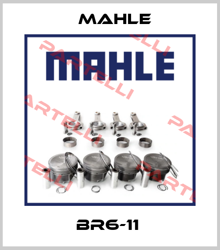 BR6-11  Mahle