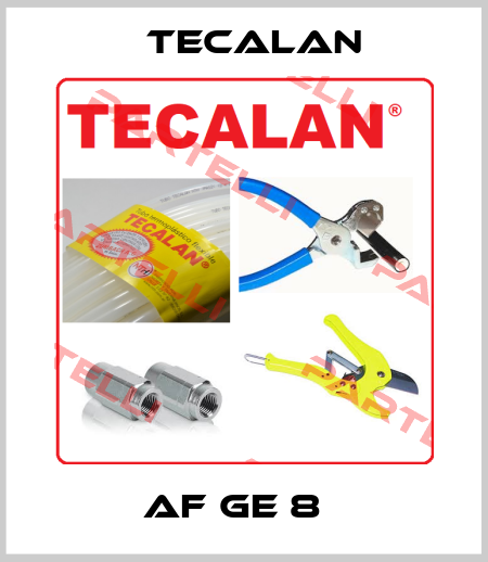  AF GE 8   Tecalan