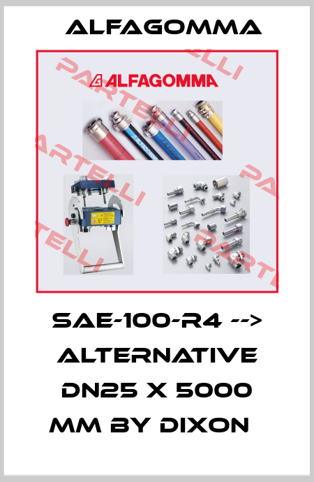SAE-100-R4 --> alternative DN25 x 5000 mm by Dixon   Alfagomma