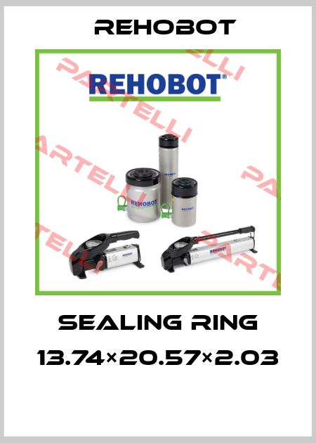SEALING RING 13.74×20.57×2.03  Nike Hydraulics / Rehobot