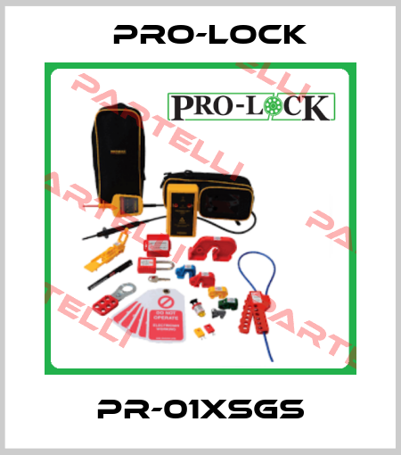 PR-01XSGS Pro-lock