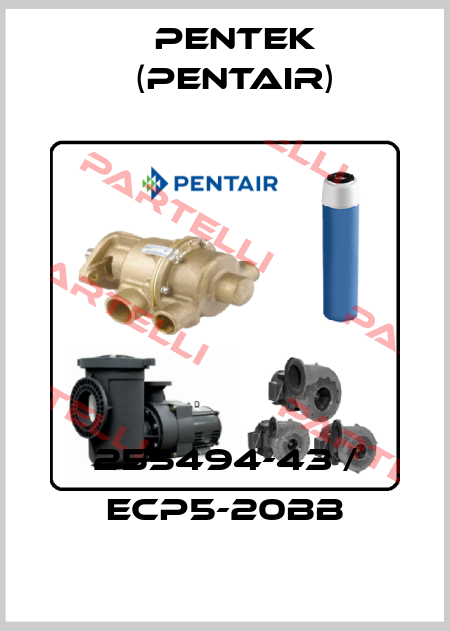 255494-43 / ECP5-20BB Pentek (Pentair)