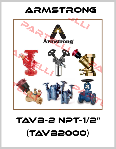 TAVB-2 NPT-1/2" (TAVB2000) Armstrong