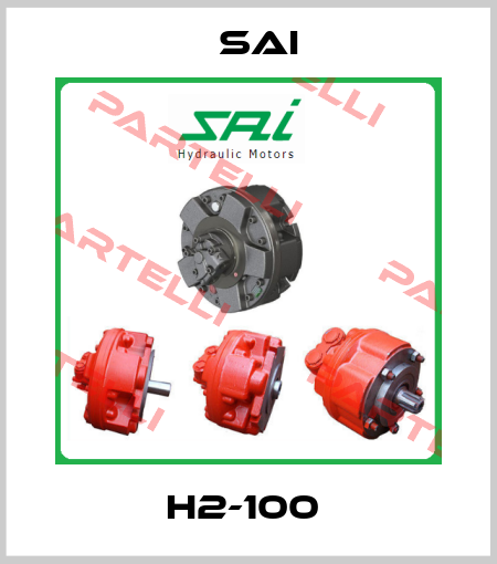 H2-100  Sai