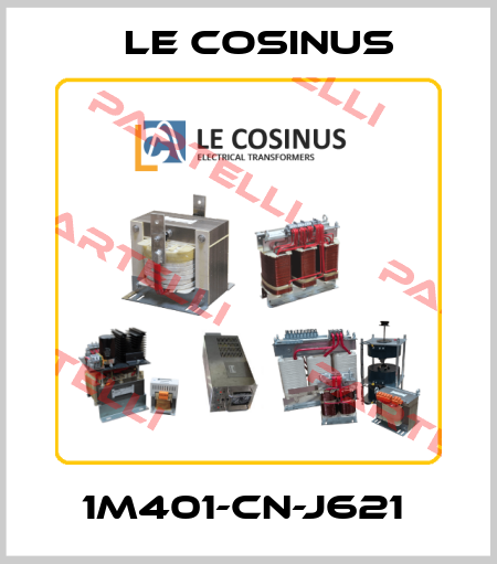 1M401-CN-J621  Le cosinus