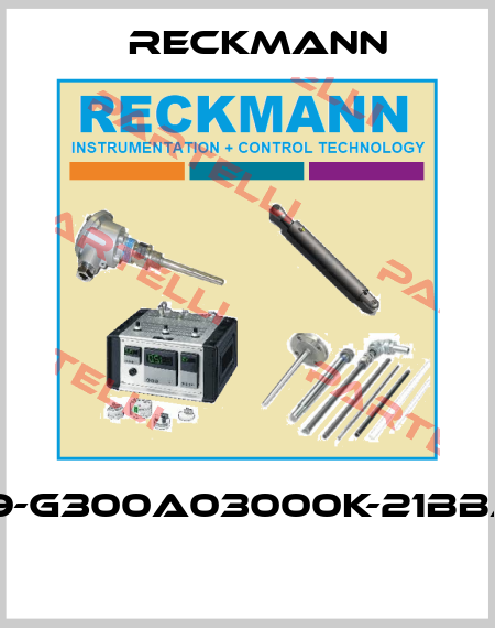 1R9-G300A03000K-21BBAX  Reckmann