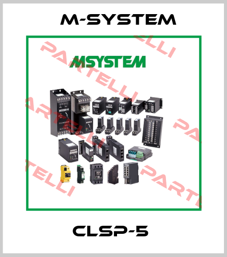 CLSP-5  M-SYSTEM