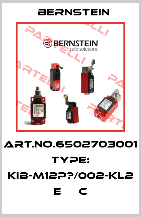 Art.No.6502703001 Type: KIB-M12P?/002-KL2      E     C Bernstein