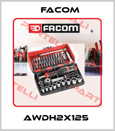 AWDH2X125  Facom