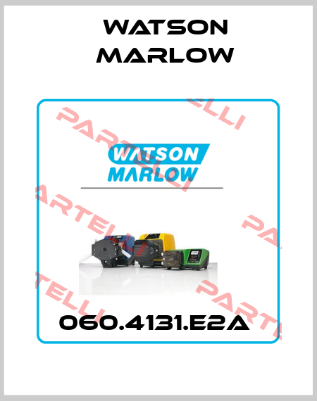 060.4131.E2A  Watson Marlow