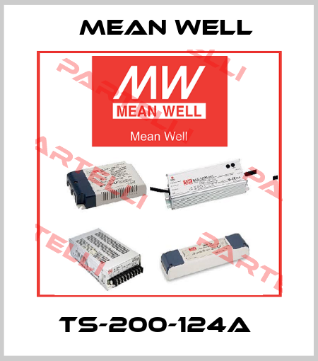 TS-200-124A  Mean Well