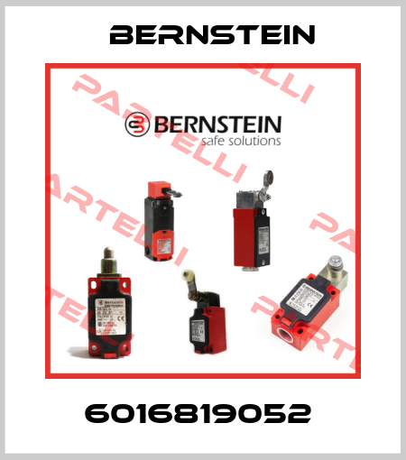 6016819052  Bernstein