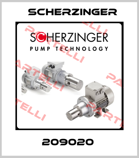 209020  Scherzinger