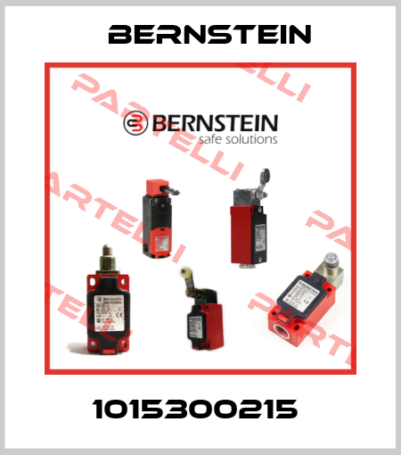 1015300215  Bernstein