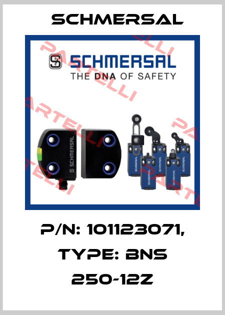 p/n: 101123071, Type: BNS 250-12Z Schmersal