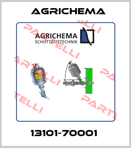 13101-70001  Agrichema