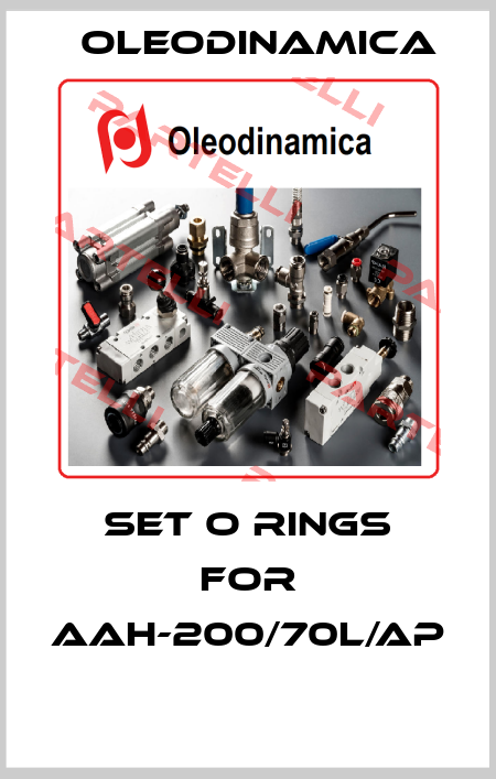 SET O RINGS FOR AAH-200/70L/AP  OLEODINAMICA