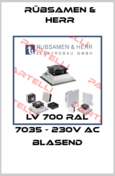 LV 700 RAL 7035 - 230V AC blasend Rübsamen & Herr