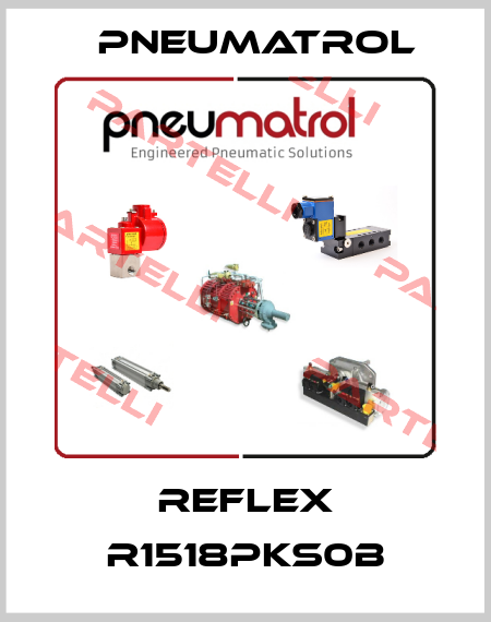 REFLEX R1518PKS0B Pneumatrol