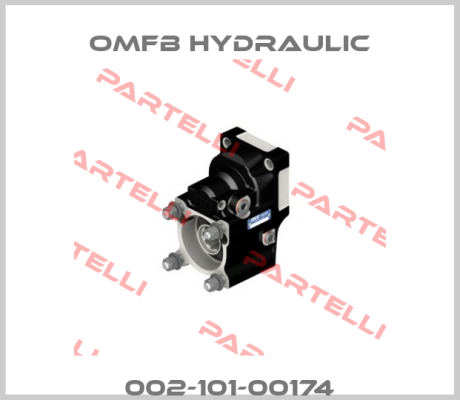 002-101-00174 OMFB Hydraulic