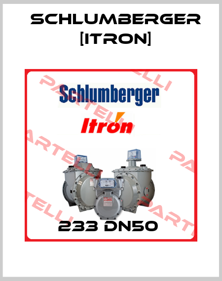 233 DN50  Schlumberger [Itron]
