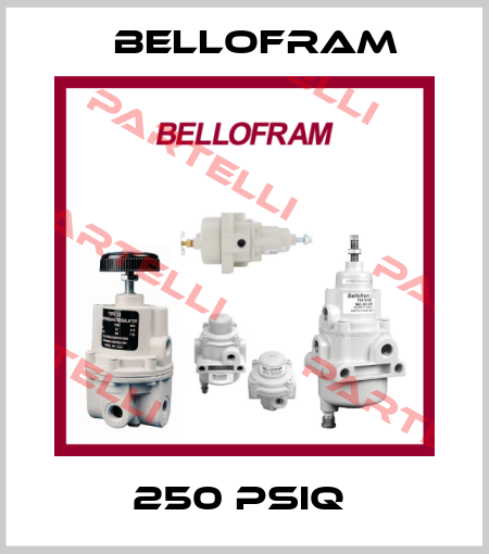 250 PSIQ  Bellofram