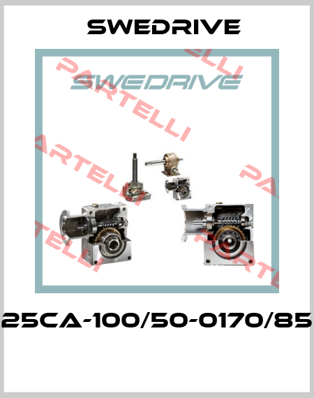 25CA-100/50-0170/85  Swedrive