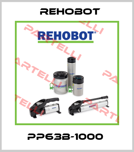PP63B-1000  Nike Hydraulics / Rehobot
