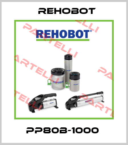 PP80B-1000  Nike Hydraulics / Rehobot