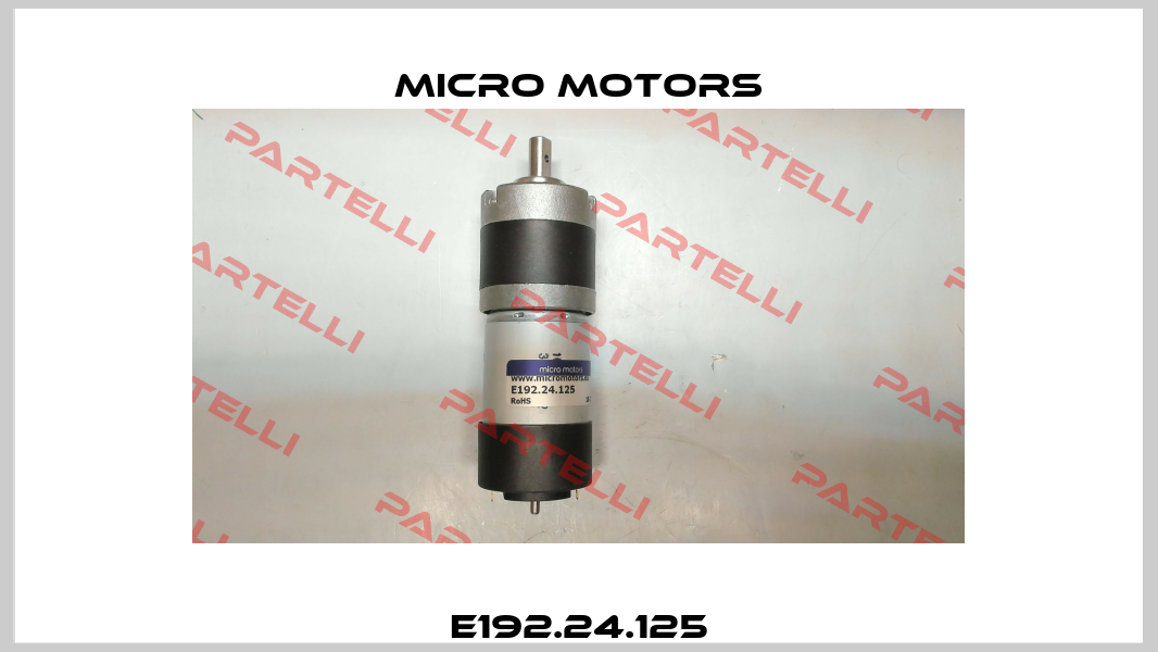 E192.24.125 Micro Motors
