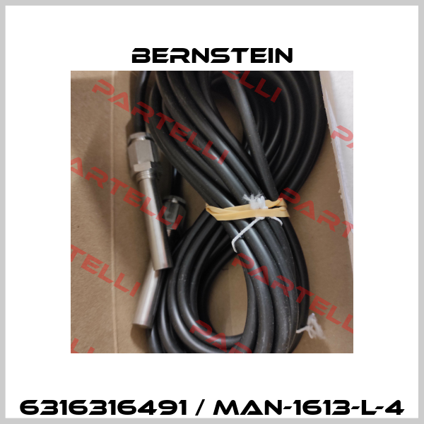 6316316491 / MAN-1613-L-4 Bernstein