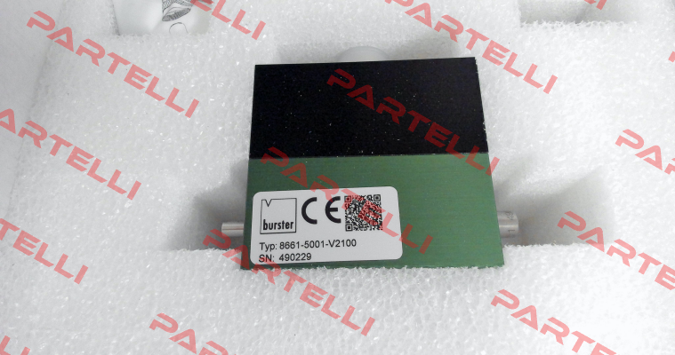8661-5001-V2100 Burster