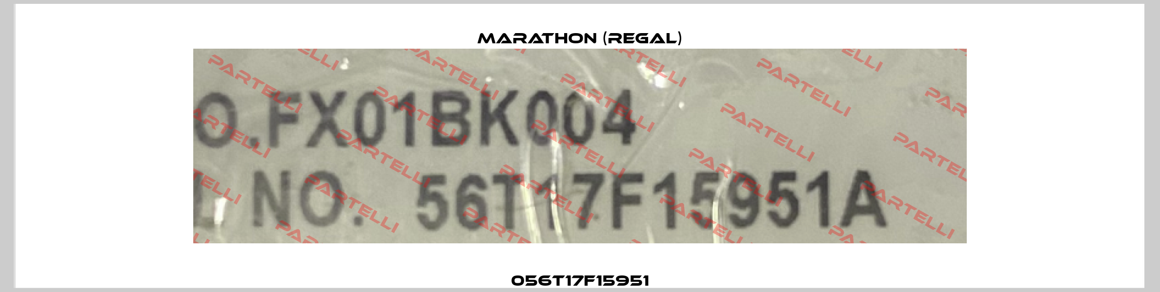 056T17F15951 Marathon (Regal)