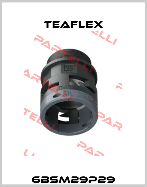 6BSM29P29 Teaflex
