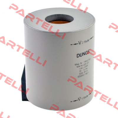 225167 Dungs