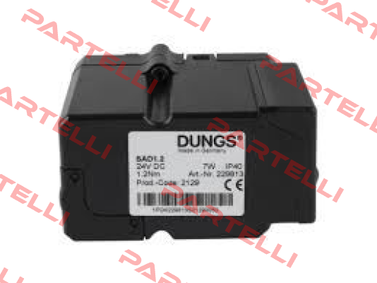229813 / SAD1.2 Dungs