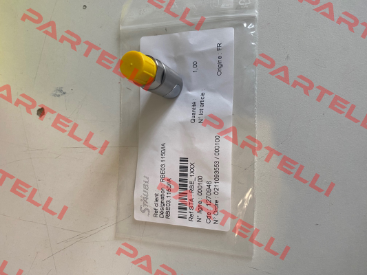 RBE 06.6810 Staubli