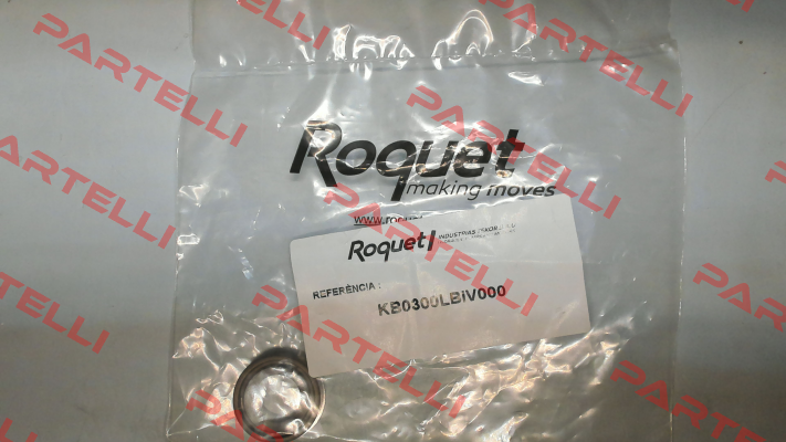 6396/400 (11982) Roquet pump