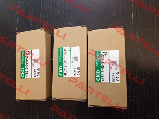 4KB219-00-B-DC24V-ST Ckd