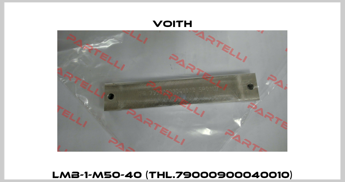 LMB-1-M50-40 (THL.79000900040010) Voith