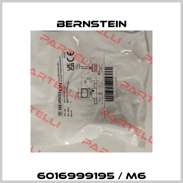 6016999195 / M6 Bernstein