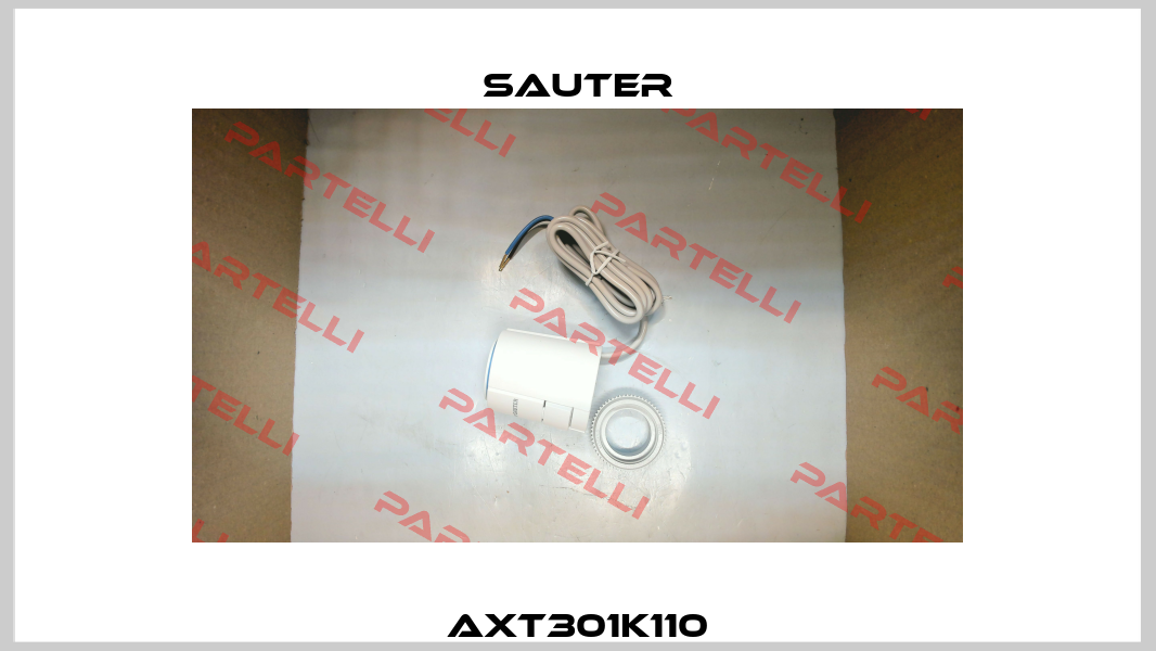 AXT301K110 Sauter