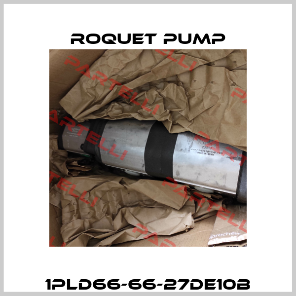 1PLD66-66-27DE10B Roquet pump